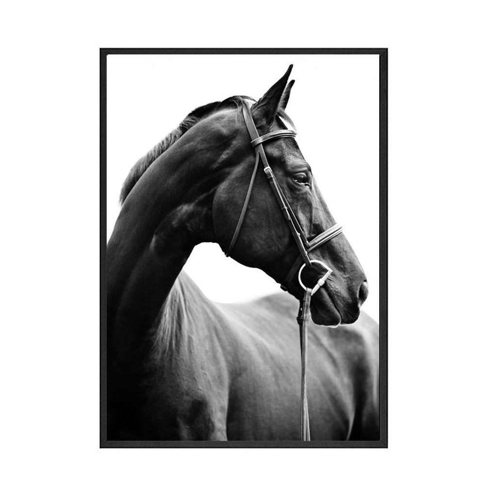 Black And White Animal Horse Canvas Painting Modern Wall Art Decor Poster